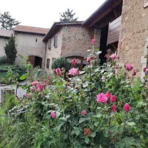 Chambre - Kamer "Le Chant du Pinson - Camping Le Soleillant