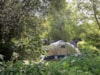 Camping Qualité