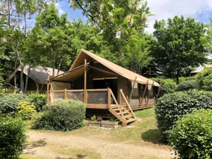 Jungle Lodge