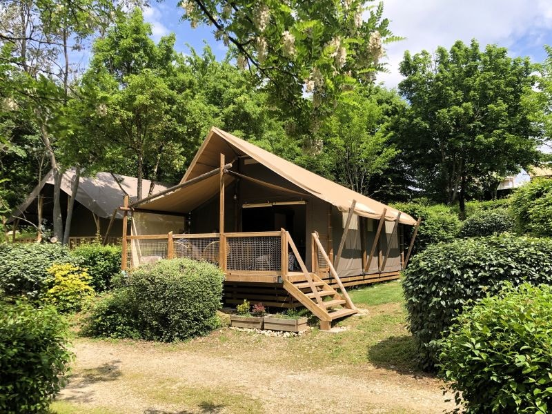 JUNGLE Lodge
