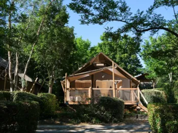 Mietunterkunft - Jungle Lodge - Camping PRE FIXE