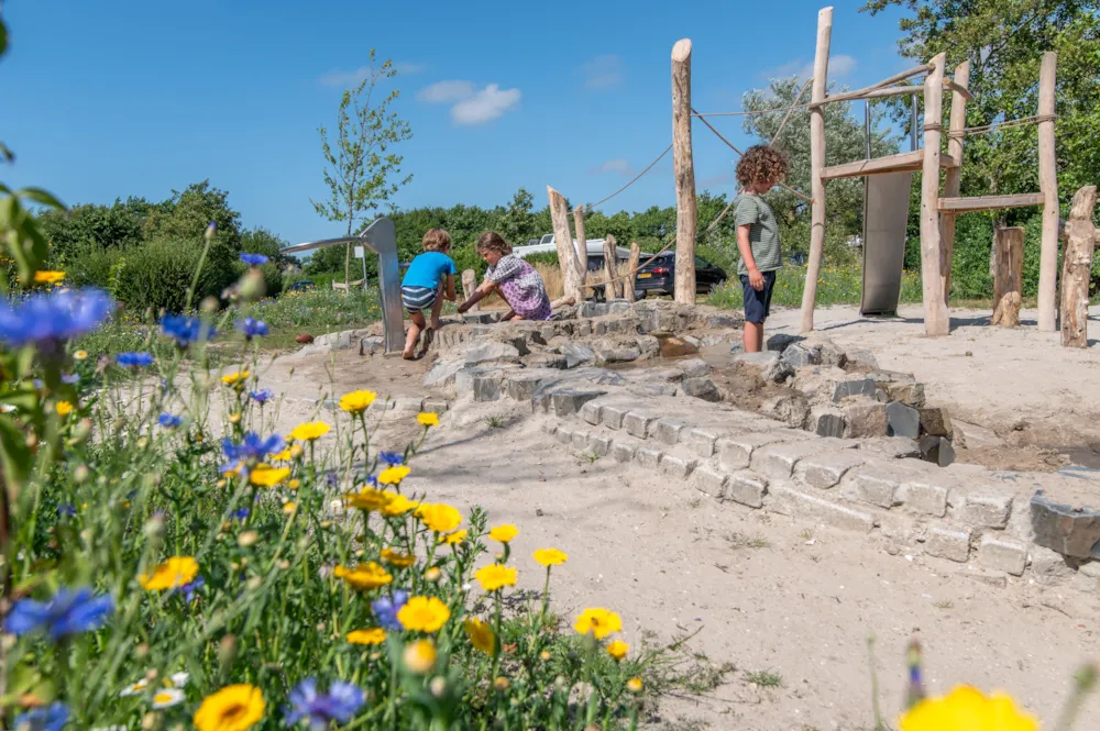 Camping Aan Noordzee