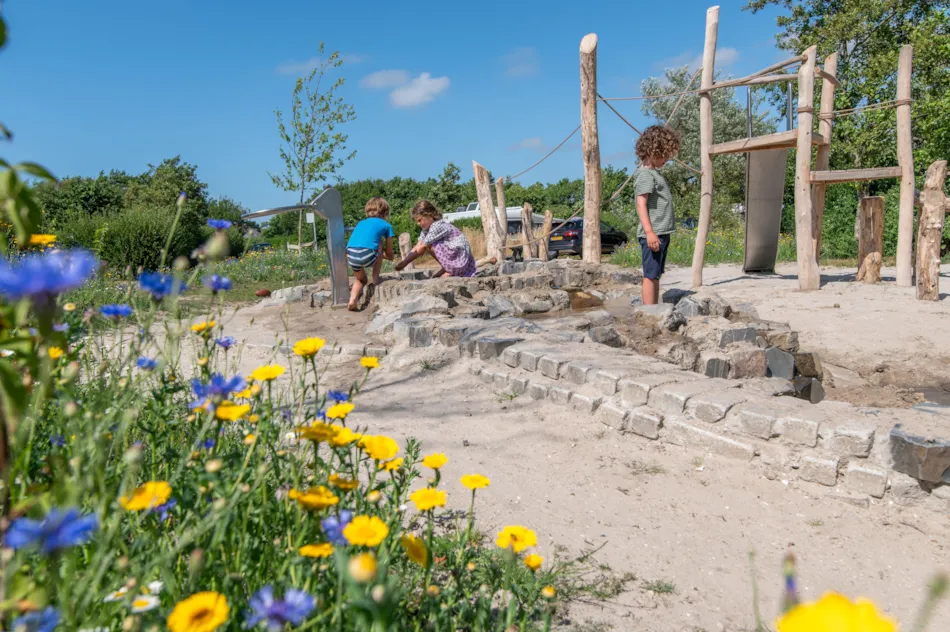 Camping Aan Noordzee