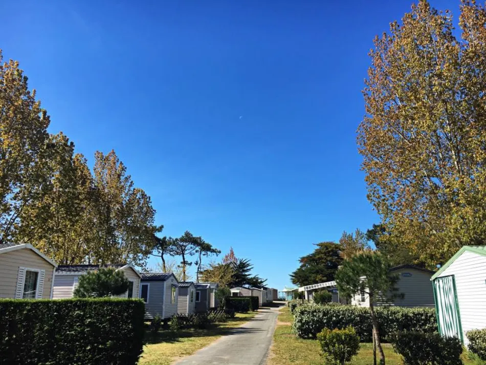 Camping LES VIOLETTES