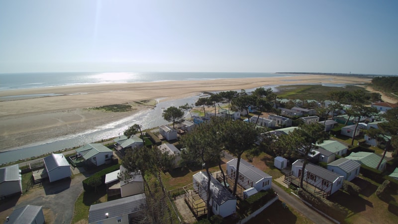 Camping LES VIOLETTES - Camping - L'Aiguillon-la-Presqu'île