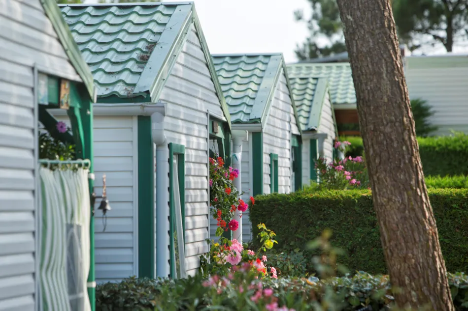 Camping LES VIOLETTES