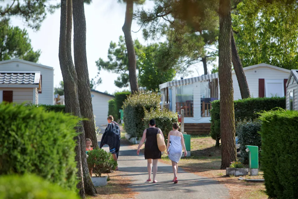 Camping LES VIOLETTES
