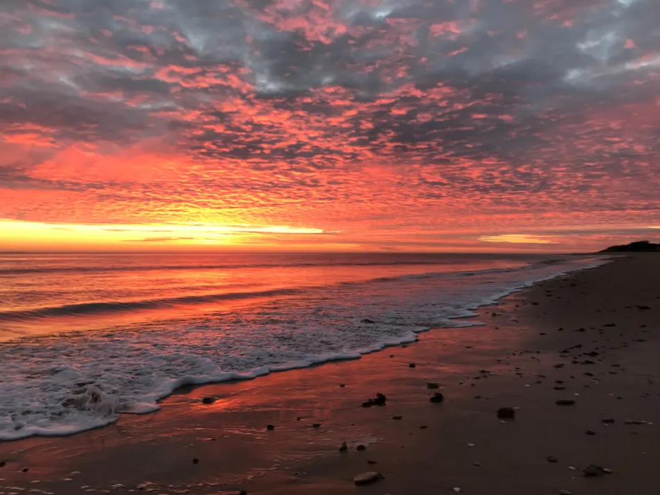 Camping LES VIOLETTES