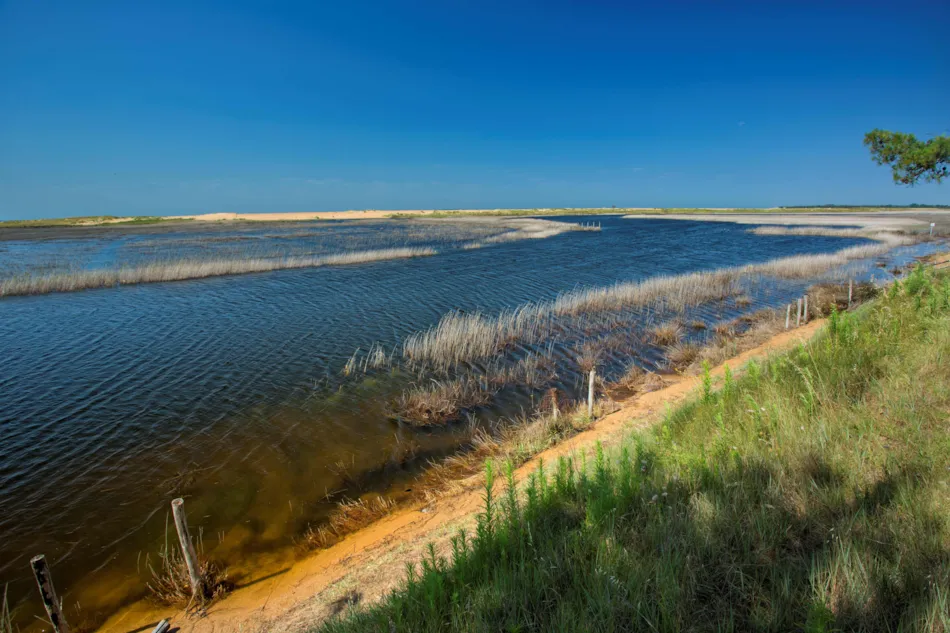 Camping LES VIOLETTES