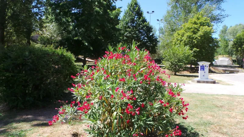 Forfait Nature (1 Tente,1 Voiture)