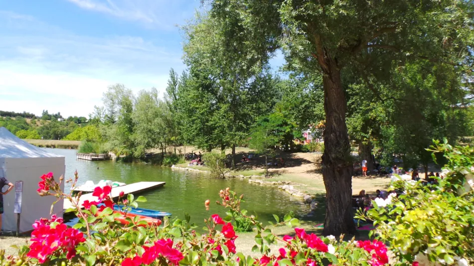 Flower Camping Du Lac De Thésauque