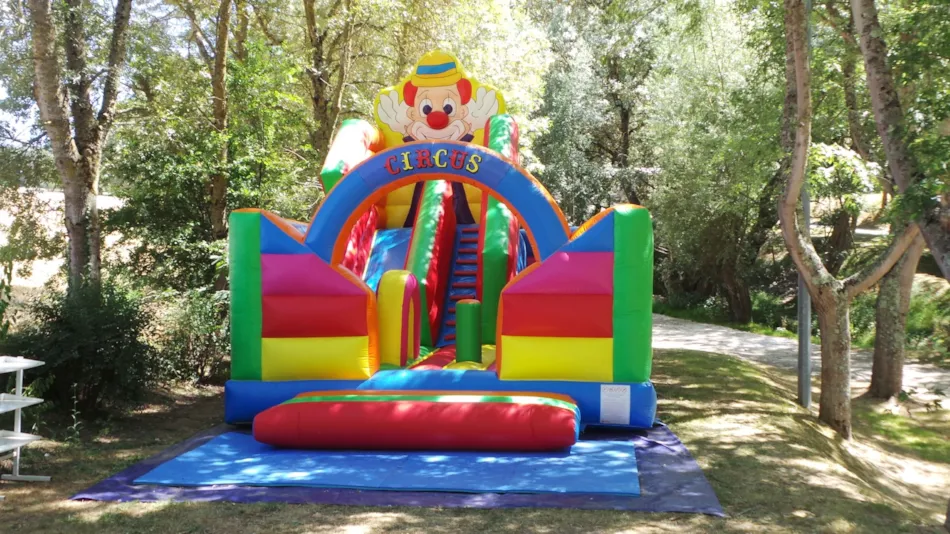 Flower Camping Du Lac De Thésauque