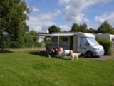 Piazzola Confort Camper Con Cane Piazzola Confort Camper Con Cane