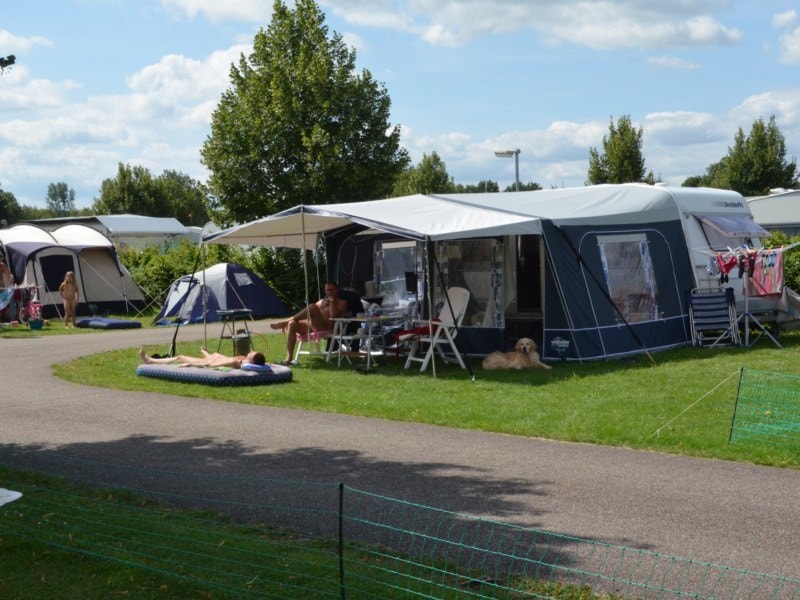 Emplacement Confort (Eekhoorn, Egel, Lepelaar, Rups, Vijver & Wielewaal)