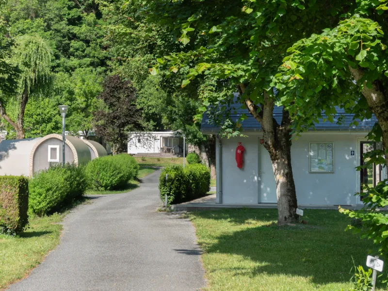 Emplacement Camping  100M² + 1 Voiture + Électricité 10A