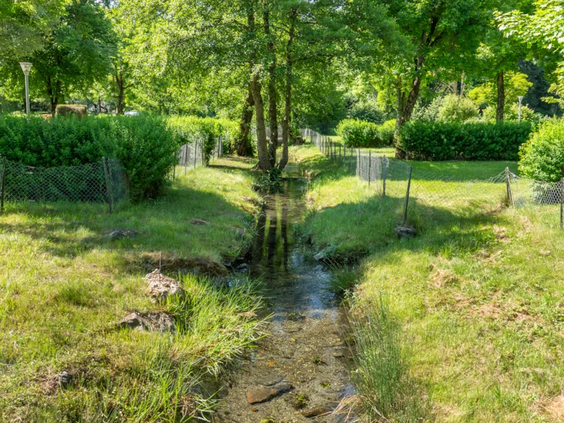 Emplacement Camping  100M² + 1 Voiture + Électricité 10A
