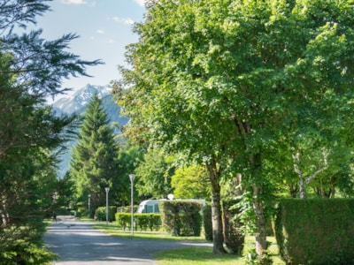 Camping pitch 100m² + 1 car + electricity 10A