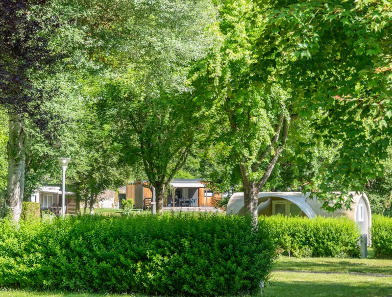 Emplacement Camping  100M² + 1 Voiture + Électricité 10A