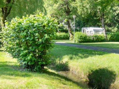 Camping pitch 100m² + 1 car + electricity 10A