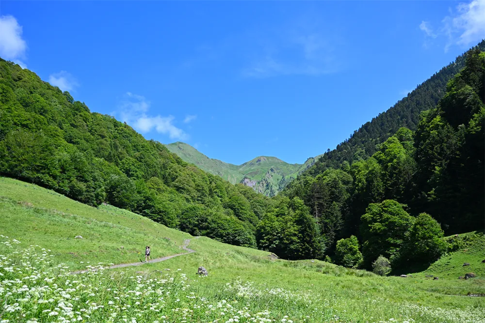 Camping Pradelongue