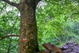 Foto #33 van Camping Pradelongue