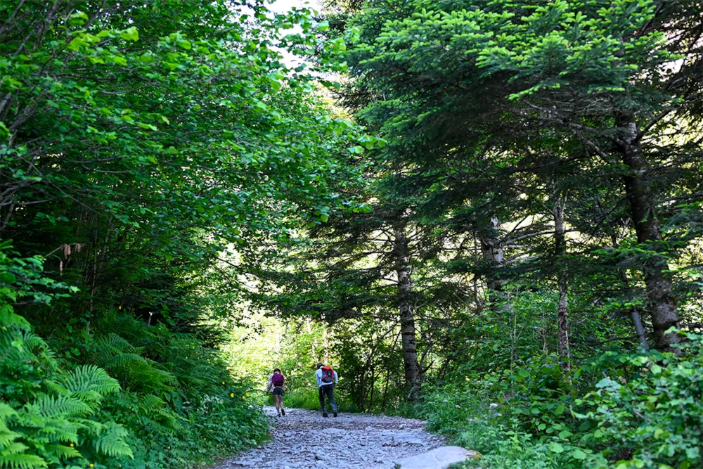 Camping Pradelongue