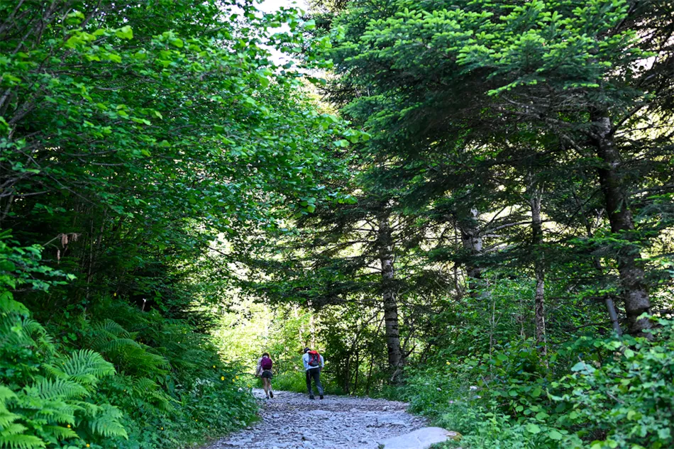 Camping Pradelongue
