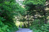 Foto #34 van Camping Pradelongue