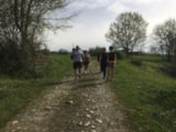 Foto #16 van Camping Le PLANTAUREL