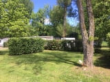 Foto #6 van Camping Le PLANTAUREL