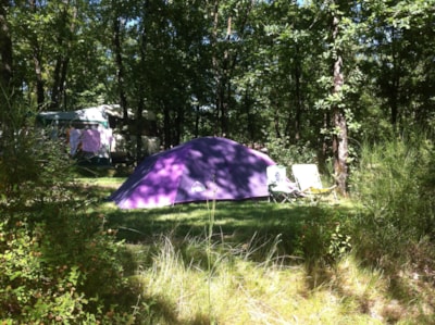 Camping Plot:  80m². 1 or 2 people + tent or caravan or Campervan + 1 car + 6 amp