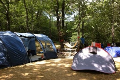 Pitch 1 person + 1 tent + No electric
