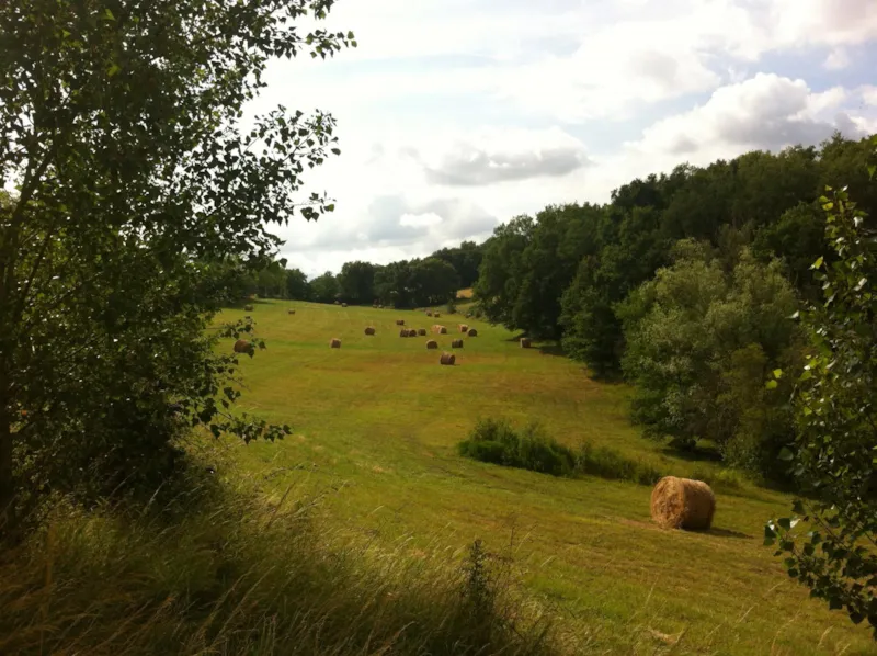 Chalet Bois 30M² - Pmr - Accessible Personnes À Mobilité Réduite Et Climatisation