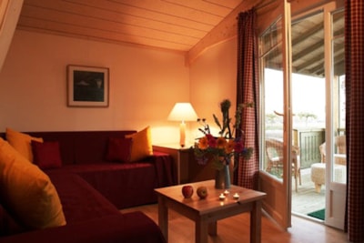 Chalet Charlay in wood with terrace - 35 m² with aircon