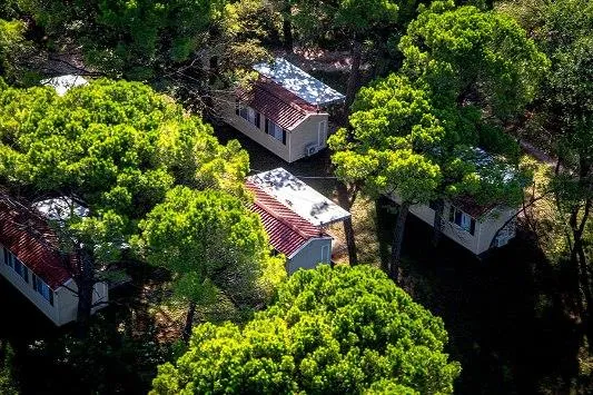 Mobilhome Green Holiday