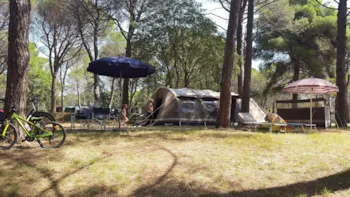 Emplacement - Emplacement-Vélo:Vélo Ou Moto + Tente + Électricité - Camping Village Belvedere Pineta