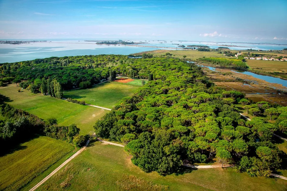 Camping Village Belvedere Pineta