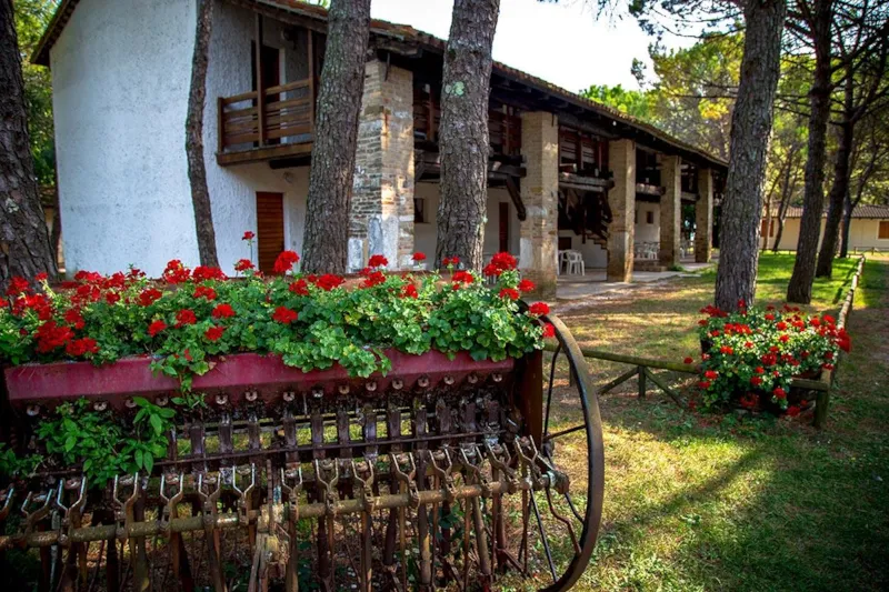 Appartement Pinus À Deux Pièces