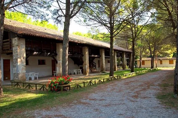 Appartement Pinus À Deux Pièces