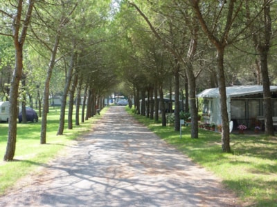 Charme Pitch: car or Motorcycle + tent/caravan or camping-car + electricity + Water + Tv-Sat — 1