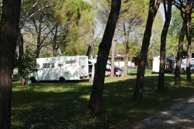 Emplacement (100 Mq): Voiture + Tente/Caravane Ou Camping-Car + Électricité