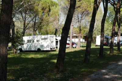 Pitch (100 mq): car + tent/caravan or camping-car + electricity — 3