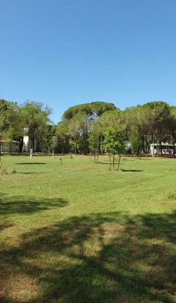 Emplacement - Emplacement Super - Camping Village Belvedere Pineta