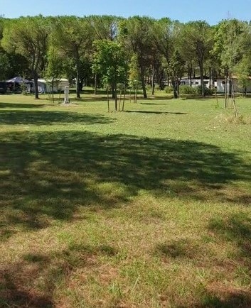 Super Pitch — 2