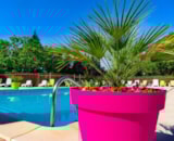 Foto #6 van Camping En Salvan