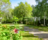 Foto #31 van Camping En Salvan