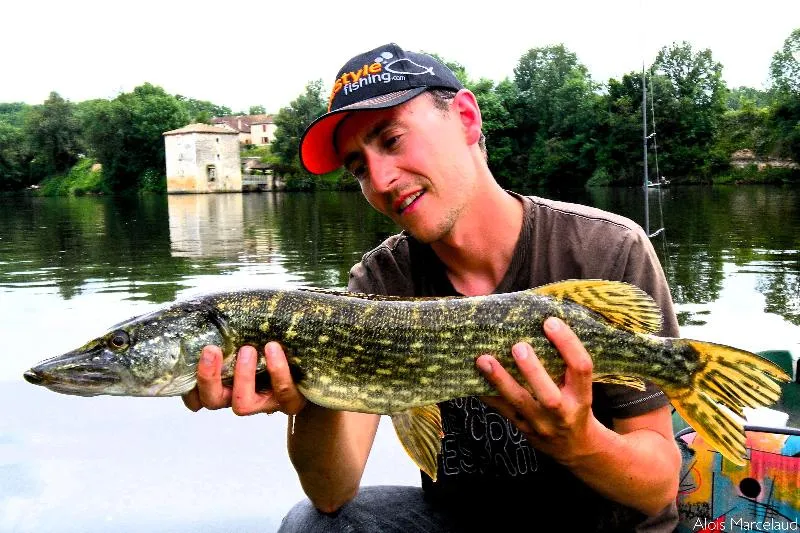 Camping Les Catalpas