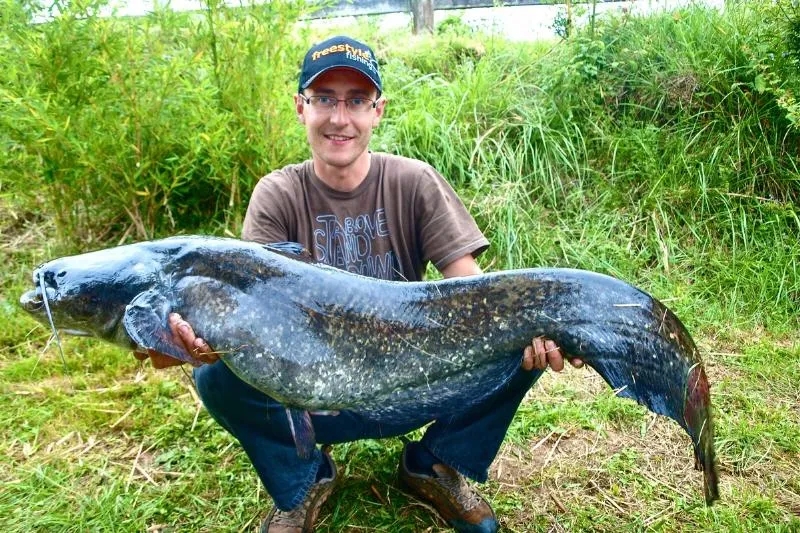 Camping Les Catalpas