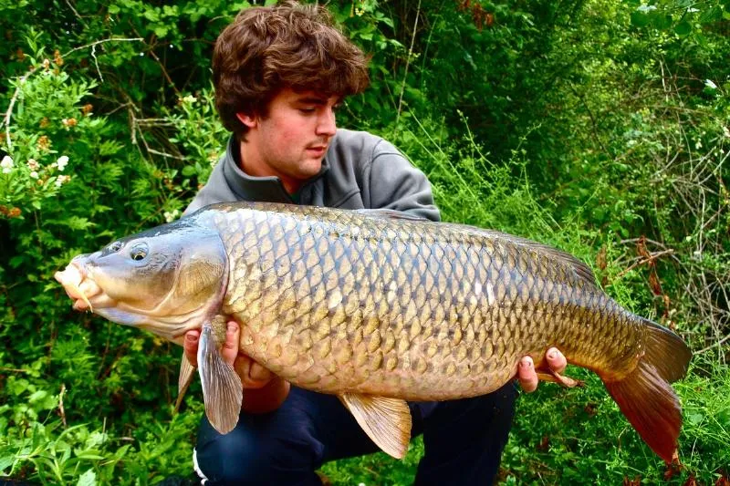 Camping Les Catalpas