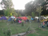 Foto #29 van Camping Les Catalpas